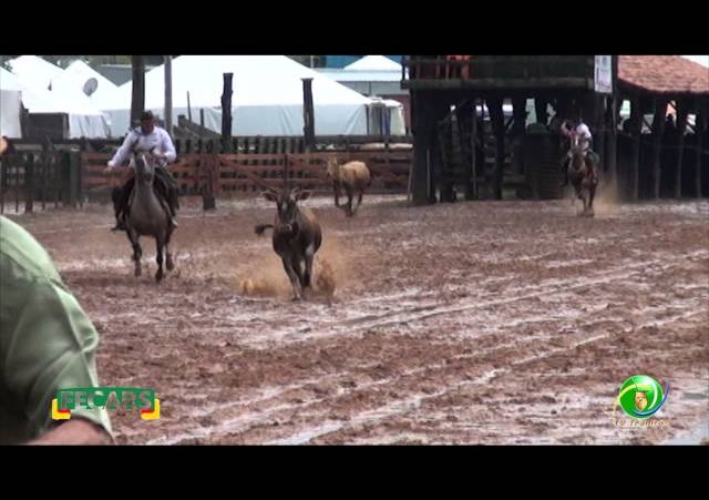 Fecars 2013 - Laço Veterano - 24ªRT