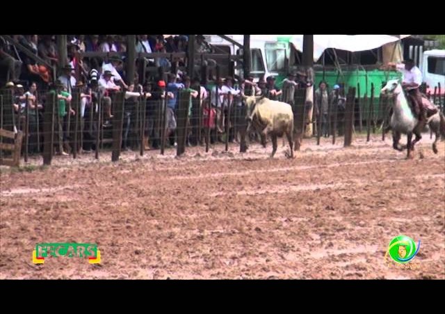 Fecars 2013 - Laço Veterano - 23ªRT