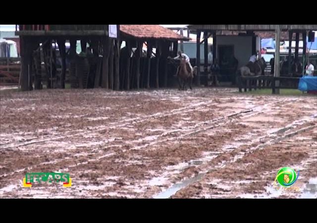 Fecars 2013 - Laço Veterano - 22ªRT