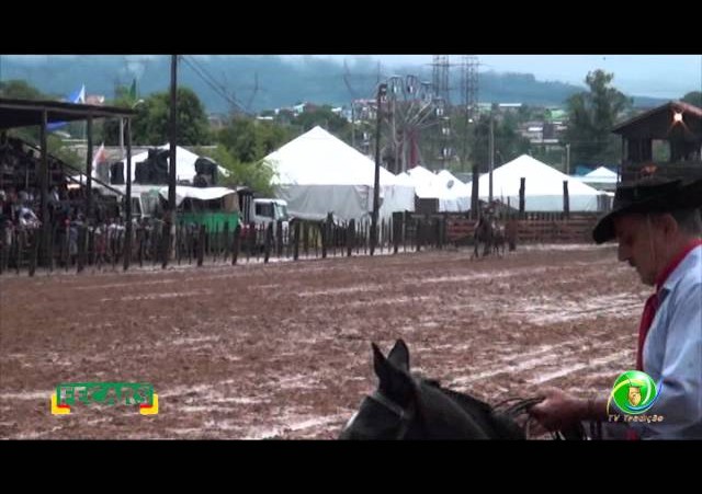 Fecars 2013 - Laço Veterano - 21ªRT