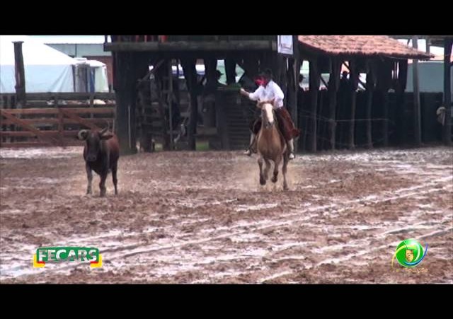 Fecars 2013 - Laço Veterano - 20ªRT