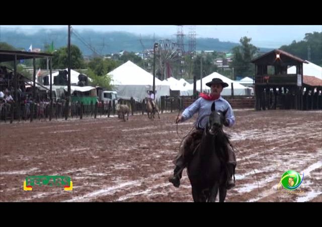 Fecars 2013 - Laço Veterano - 19ªRT