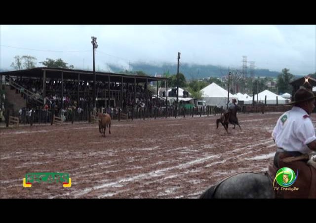 Fecars 2013 - Laço Veterano - 17ªRT