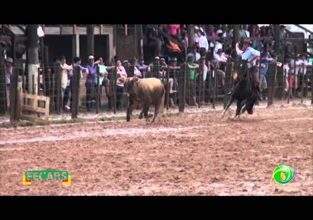 Fecars 2013 - Laço Veterano - 13ªRT