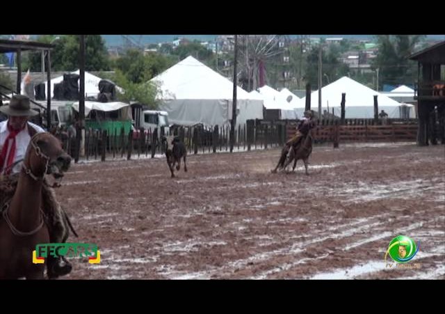 Fecars 2013 - Laço Veterano - 11ªRT