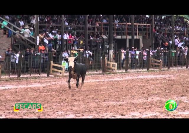 Fecars 2013 - Laço Veterano - 10ªRT