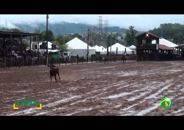 Fecars 2013 - Laço Veterano - 9ªRT