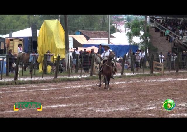 Fecars 2013 - Laço Veterano - 7ªRT