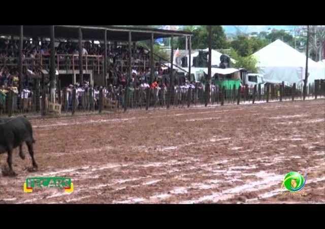 Fecars 2013 - Laço Veterano - 6ªRT