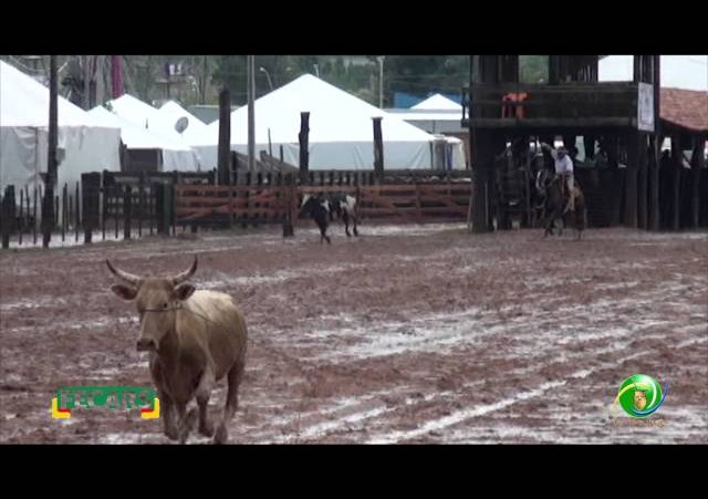 Fecars 2013 - Laço Veterano - 5ªRT