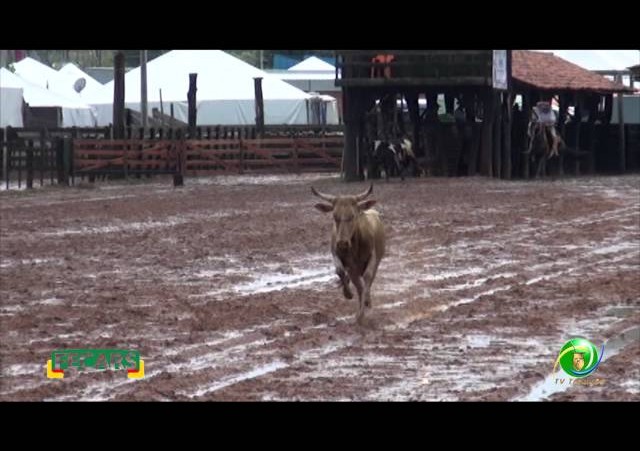 Fecars 2013 - Laço Veterano - 4ªRT