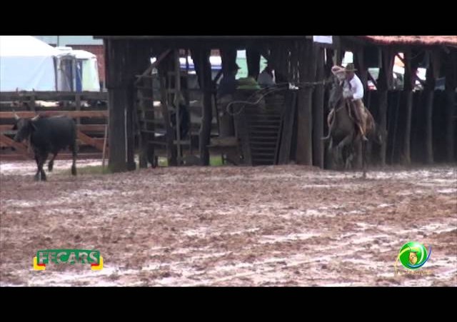 Fecars 2013 - Laço Veterano - 2ªRT