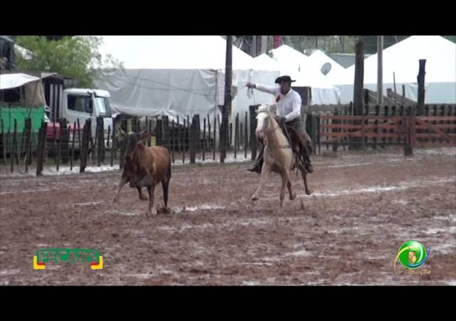 Fecars 2013 - Laço Veterano - 1ªRT