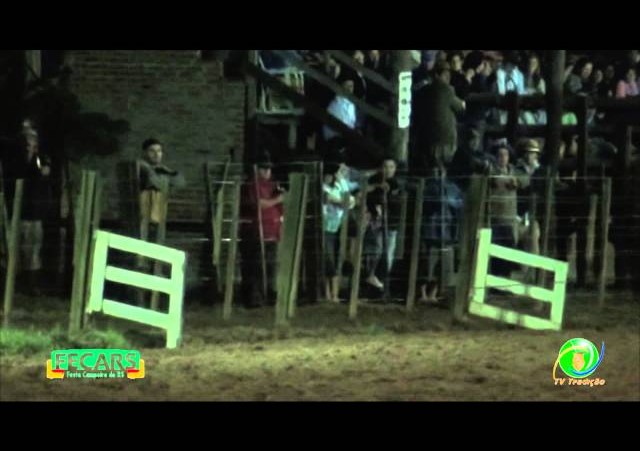 Fecars 2013 - Laço Conselheiro - 7ªRT