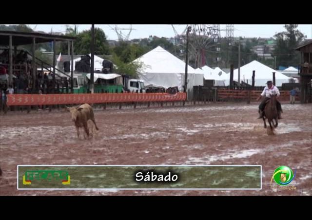Fecars 2013 - Laço Patrão -8ª RT - Sábado