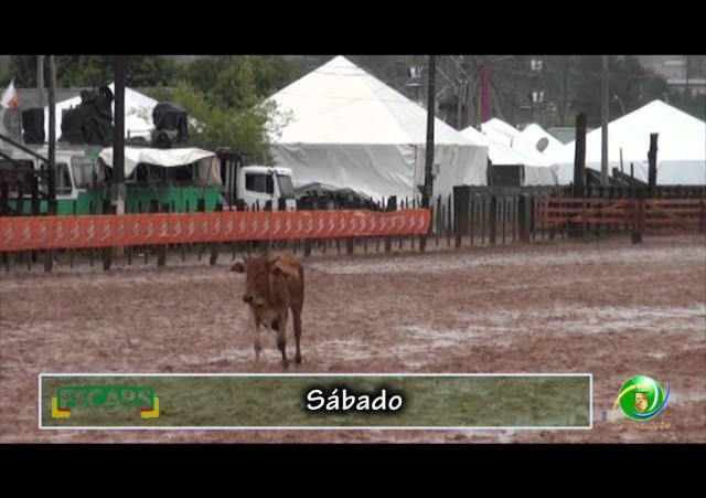 Fecars 2013 - Laço Veterano - 30ª RT - Sábado