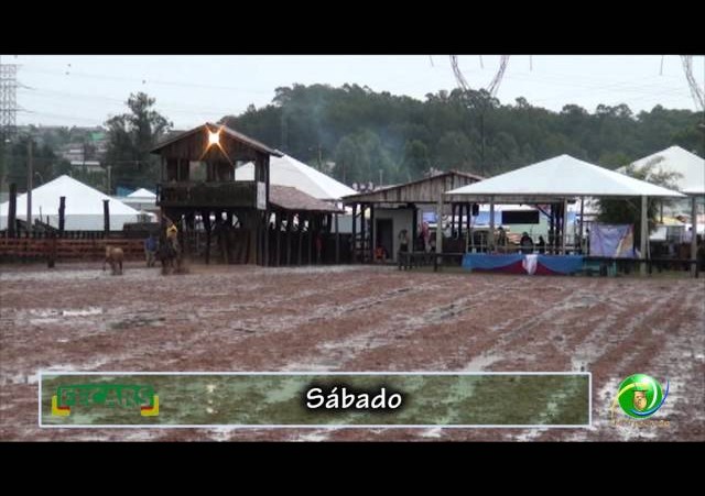 Fecars 2013 - Laço Veterano - 29ª RT - Sábado