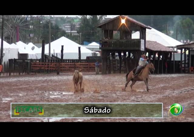 Fecars 2013 - Laço Veterano - 28ª RT - Sábado