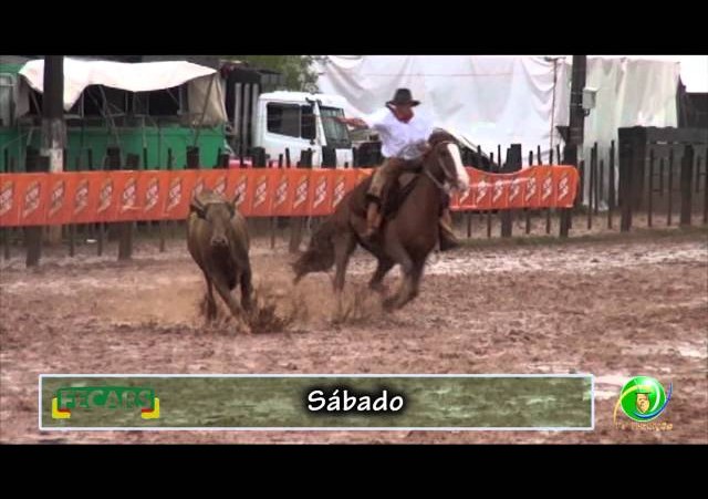 Fecars 2013 - Laço Veterano - 27ª RT - Sábado