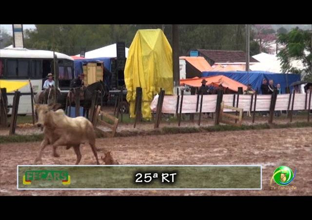 Fecars 2013 - Laço Veterano - 25ª RT - Sábado