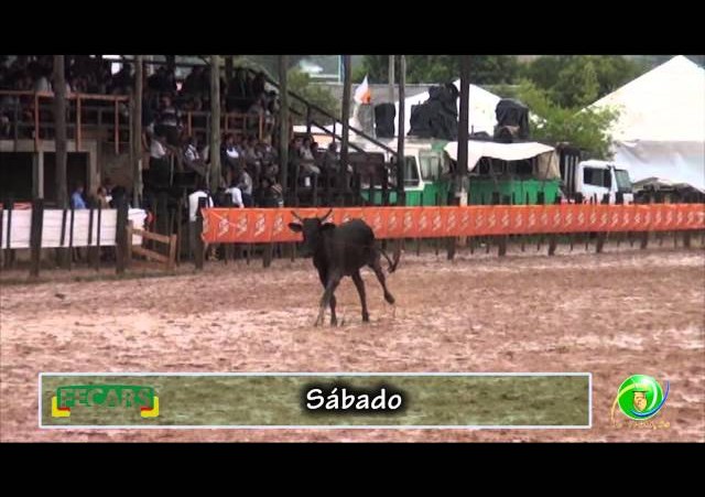 Fecars 2013 - Laço Veterano - 24ª RT - Sábado