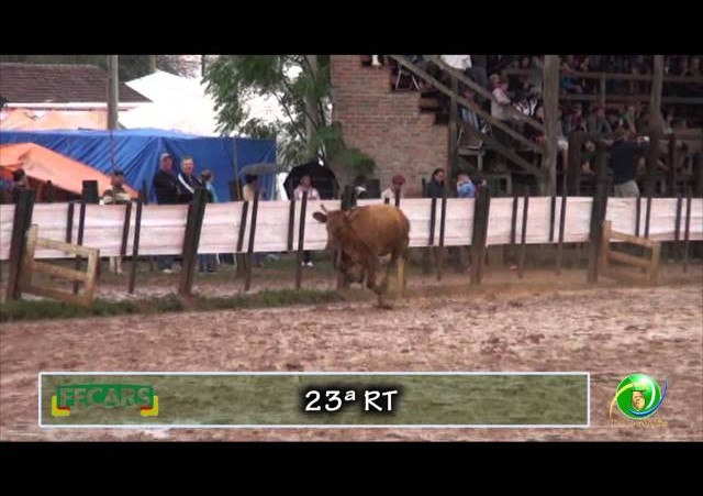 Fecars 2013 - Laço Veterano - 23ª RT - Sábado