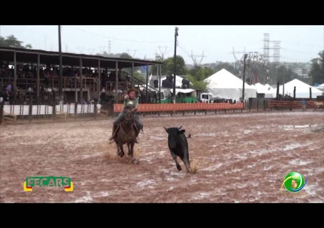 Fecars 2013 - Laço Veterano - 21ª RT - Sábado