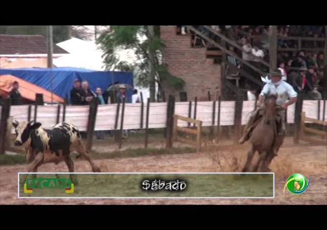 Fecars 2013 - Laço Veterano - 15ª RT - Sábado