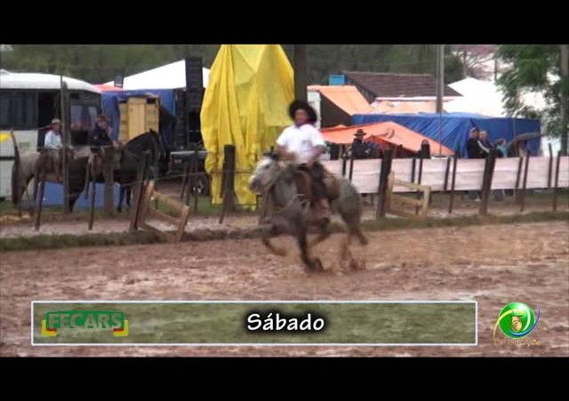 Fecars 2013 - Laço Veterano - 14ª RT - Sábado