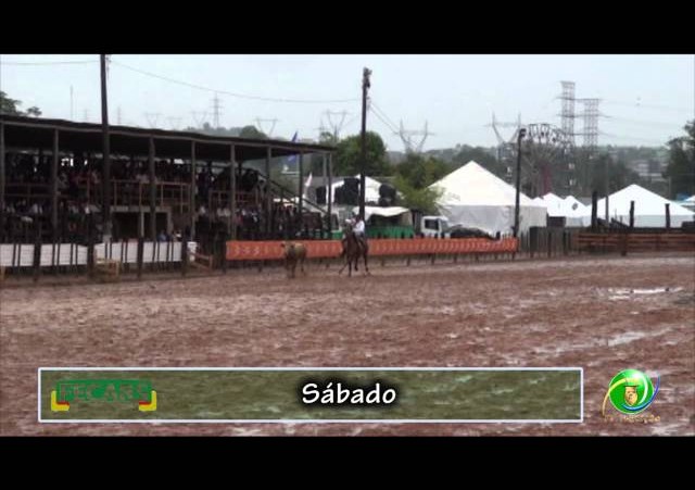 Fecars 2013 - Laço Veterano - 10ª RT - Sábado