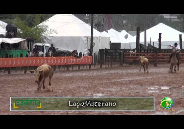 Fecars 2013 - Laço Veterano - 8ª RT - Sábado