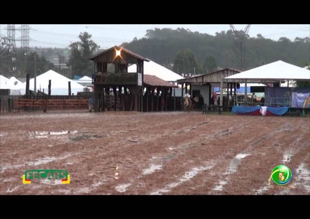 Fecars 2013 - Laço Veterano - 1ª RT - Sábado