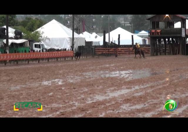 Fecars 2013 - Laço Coordenador Regional - 29ª RT - Sexta
