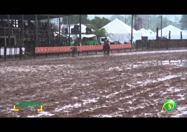 Fecars 2013 - Laço Seleção - 29ª RT - Sexta