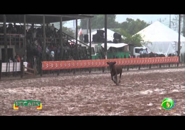 Fecars 2013 - Laço Seleção - 28ª RT - Sexta