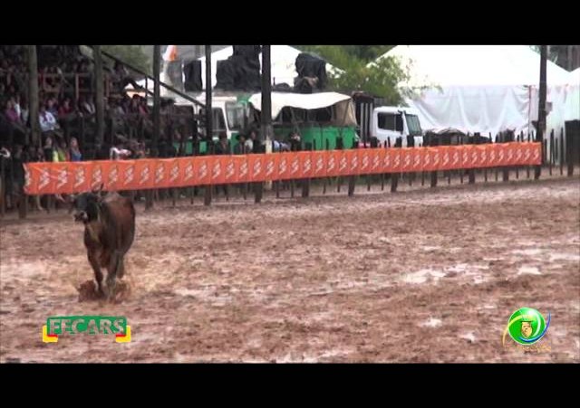 Fecars 2013 - Laço Seleção - 21ª RT - Sexta