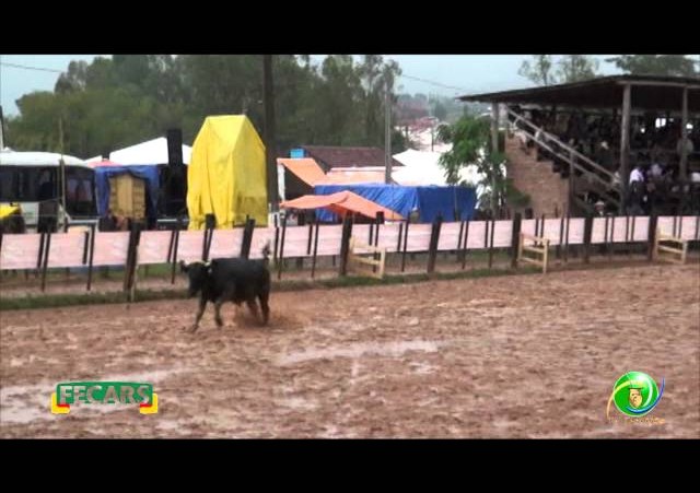 Fecars 2013 - Laço Coordenador Regional - 27ª RT - Sexta