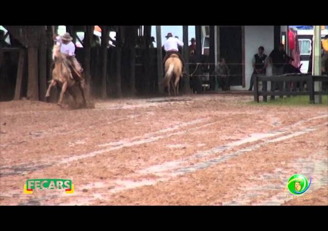 Fecars 2013 - Laço Coordenador Regional - 25ª RT - Sexta