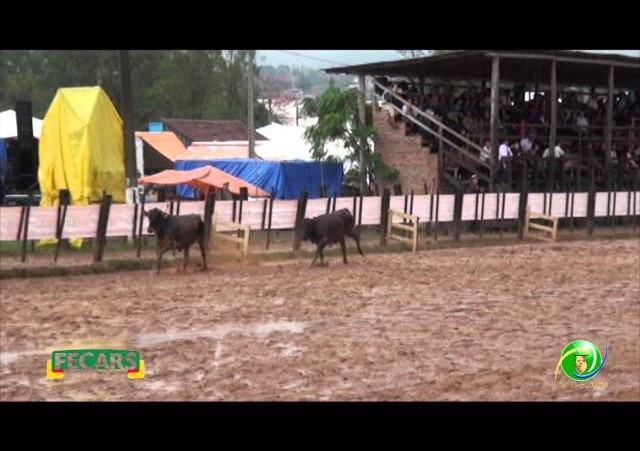 Fecars 2013 - Laço Coordenador Regional - 24ª RT - Sexta