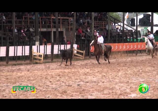 Fecars 2013 - Laço Coordenador Regional - 22ª RT - Sexta