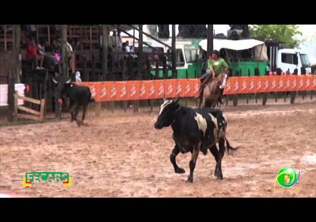 Fecars 2013 - Laço Coordenador Regional - 21ª RT