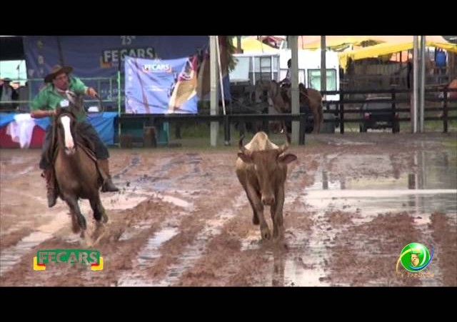 Fecars 2013 - Laço Coordenador Regional - 16ª RT