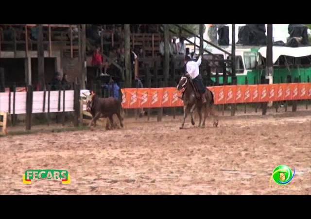 Fecars 2013 - Laço Coordenador Regional - 14ª RT