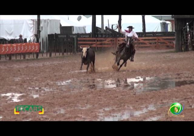 Fecars 2013 - Laço Coordenador Regional - 4ª RT