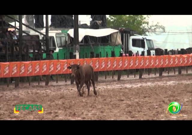 Fecars 2013 - Laço Pai e Filho - 29ª RT