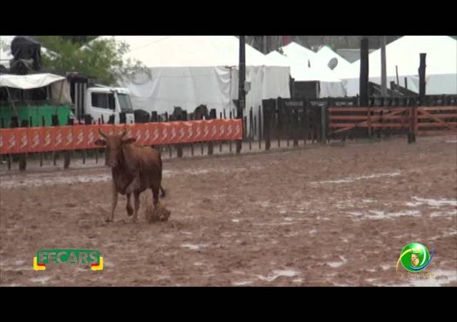 Fecars 2013 - Laço Pai e Filho - 27ª RT
