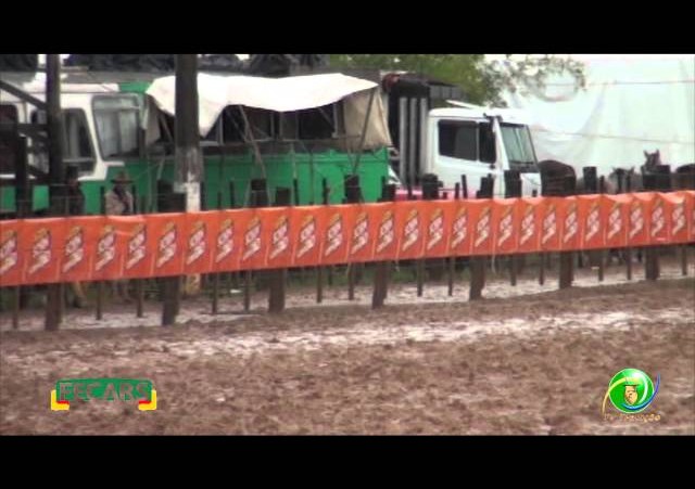 Fecars 2013 - Laço Pai e Filho - 24ª RT