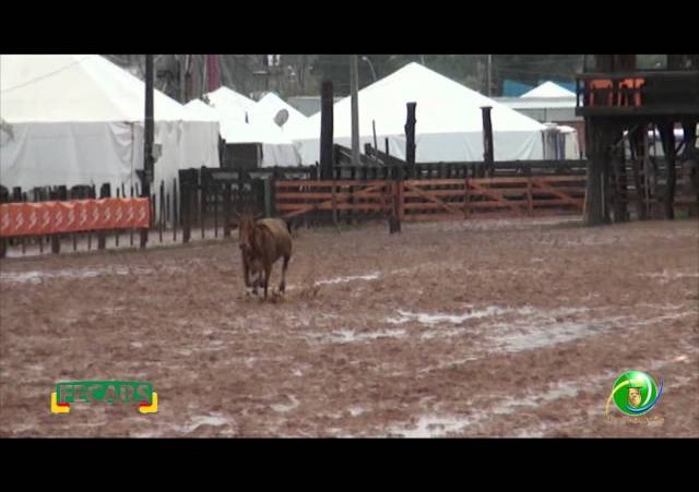 Fecars 2013 - Laço Pai e Filho - 23ª RT