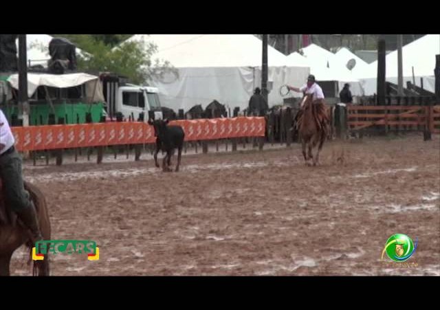 Fecars 2013 - Laço Pai e Filho - 20ª RT