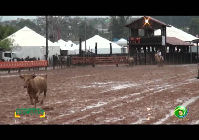 Fecars 2013 - Laço Pai e Filho - 17ª RT
